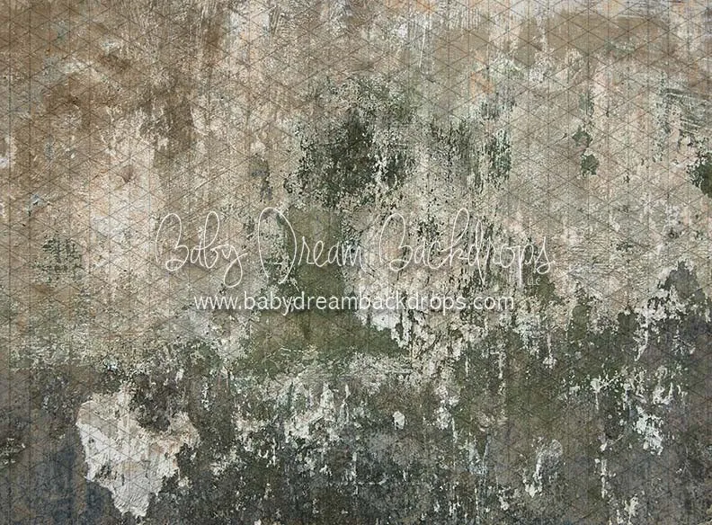 Backstreet Wall (CC)