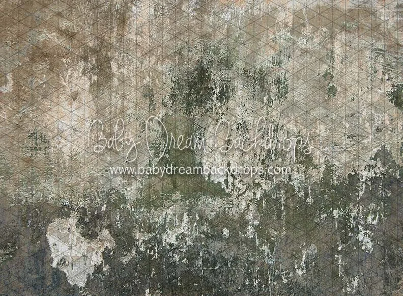 Backstreet Wall (CC)