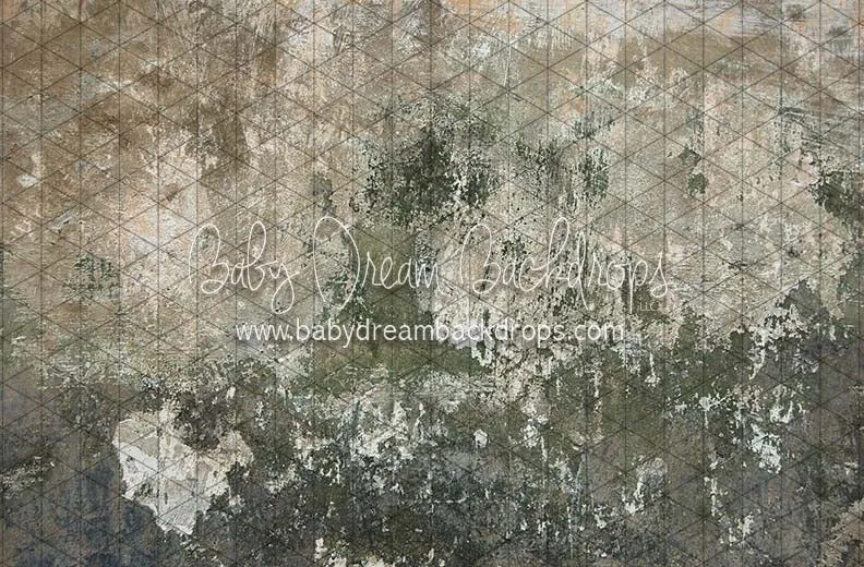 Backstreet Wall (CC)