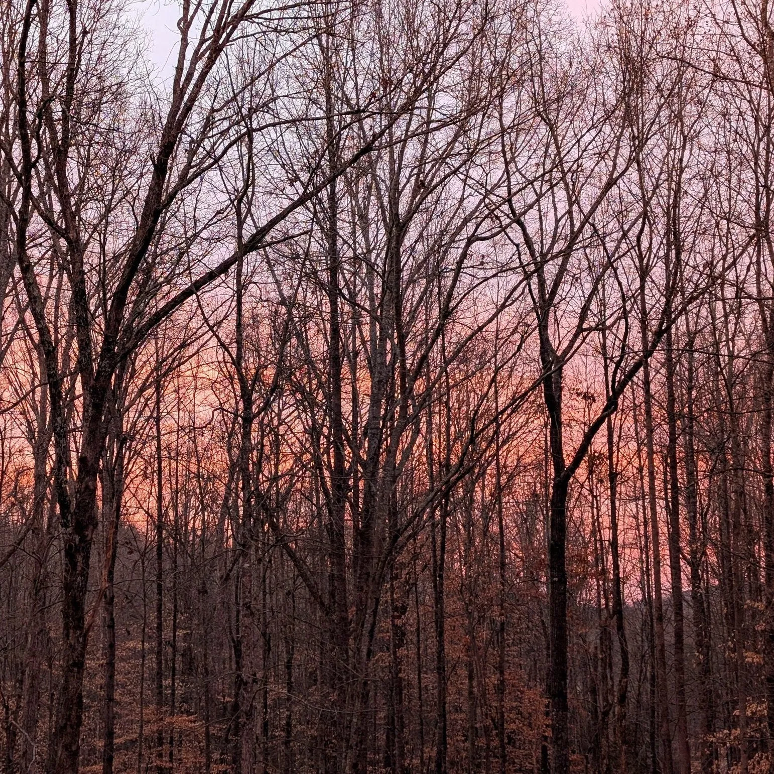 MAGIC HOUR - MULTIPURPOSE BLUSH (Cheek/Eye Safe)