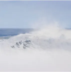 Ocean Spray