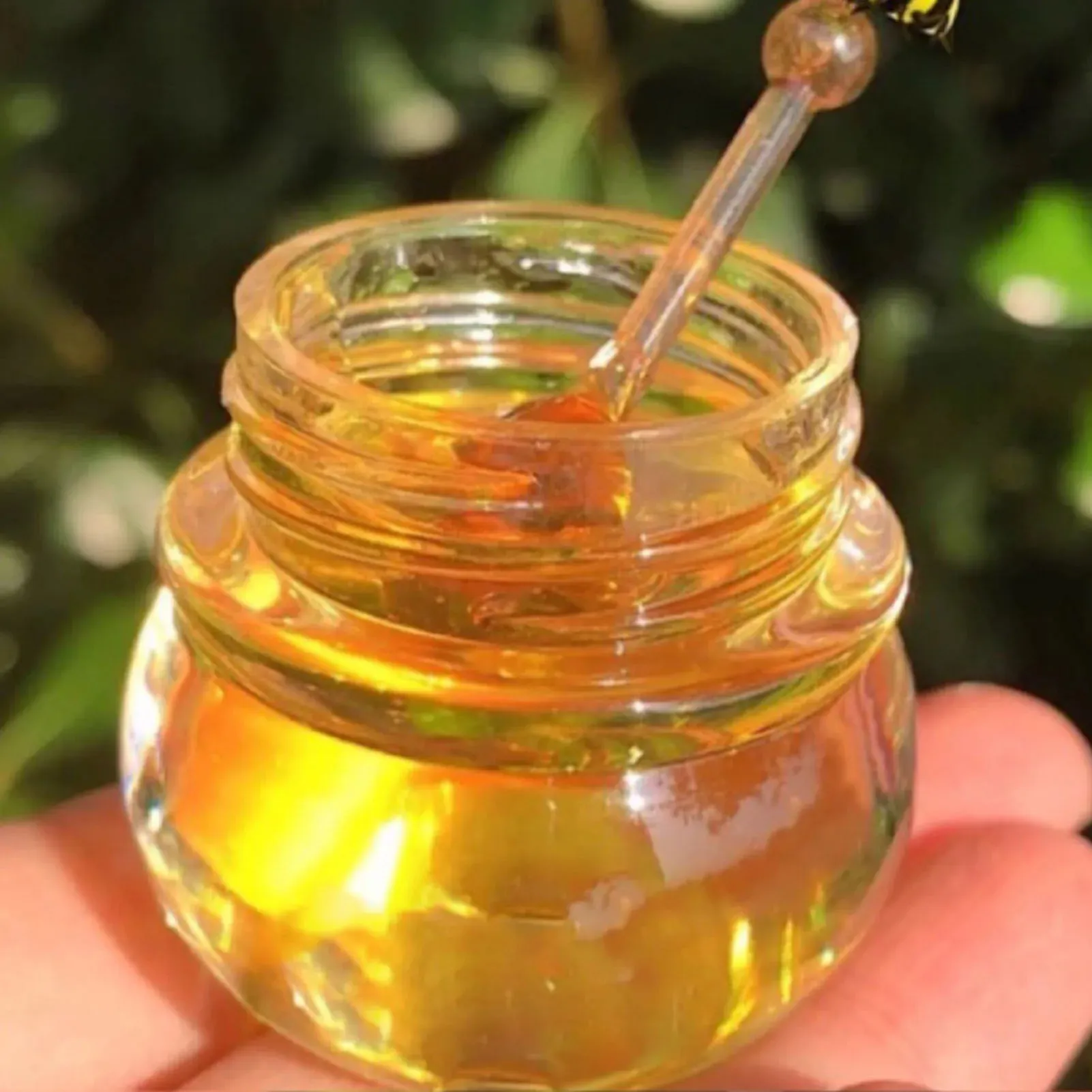 Original Beeswax Lip Balm